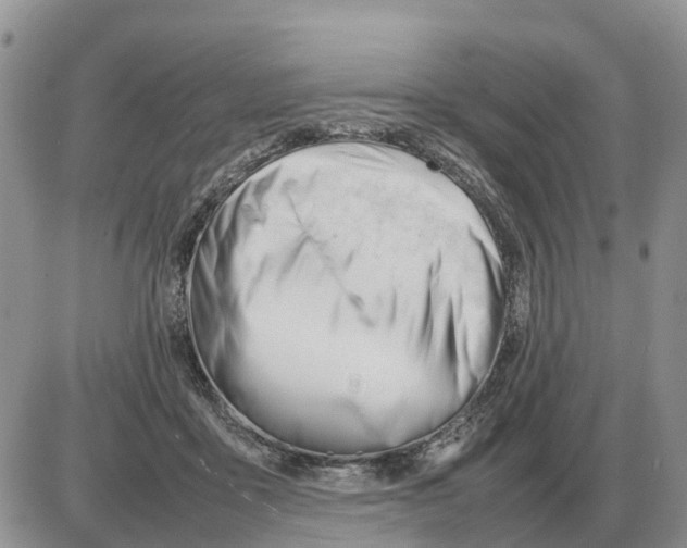 X0000086060411200704202106