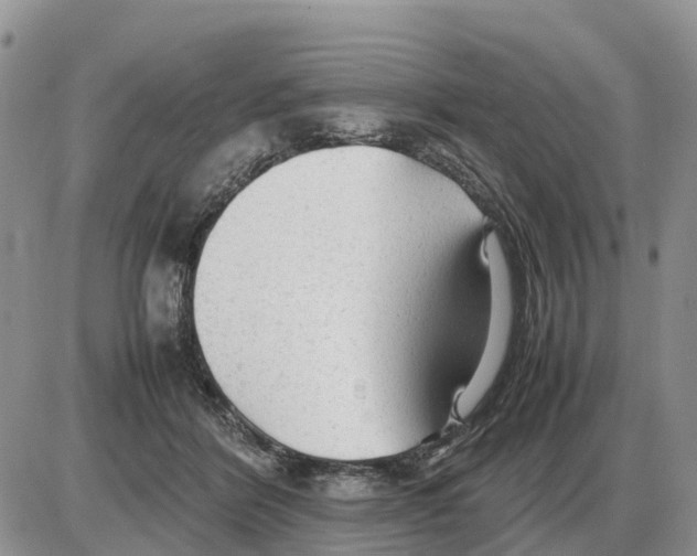 X0000086060412200704202106