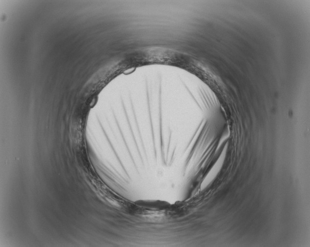 X0000086060413200704202106