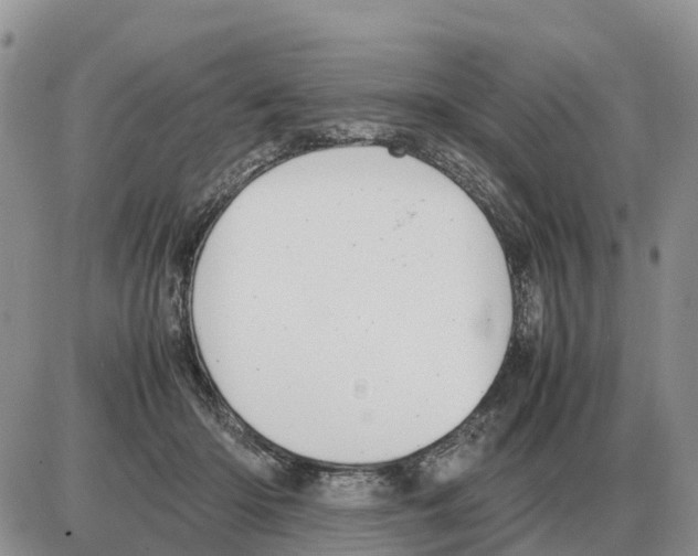 X0000086060414200704202106