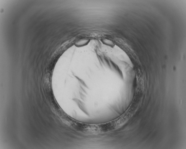 X0000086060415200704202106