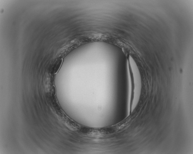 X0000086060416200704202106