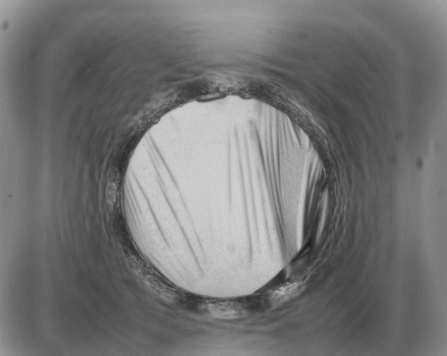 X0000086060417200704202106