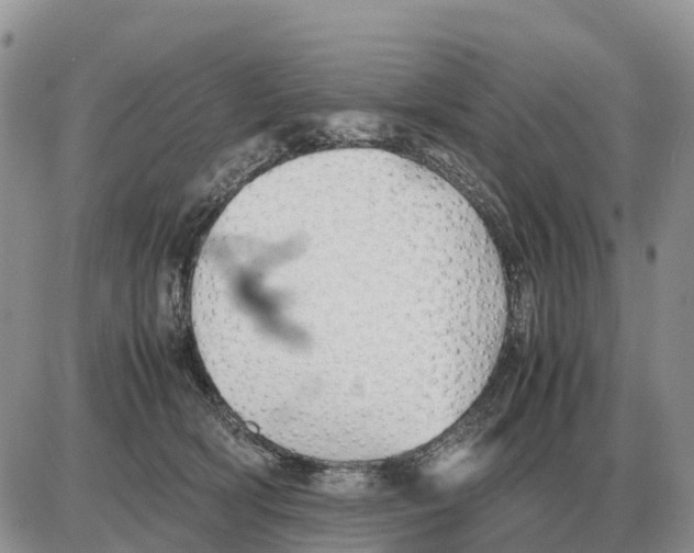 X0000086060418200704202106