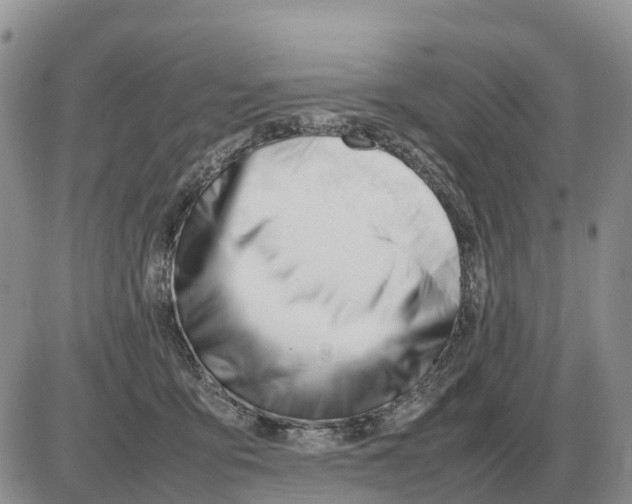 X0000086060419200704202106