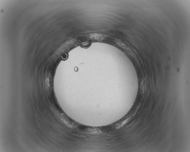 X0000086060424200704202105