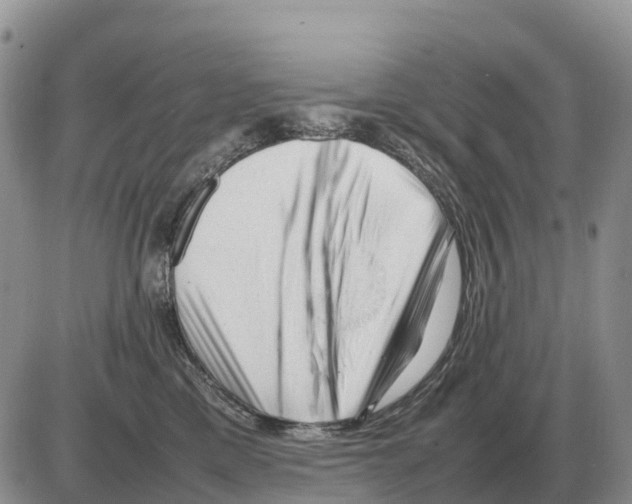 X0000086060425200704202105