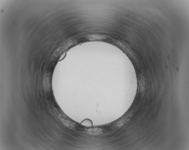 X0000086060426200704202105