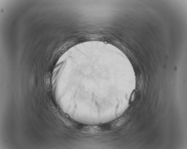 X0000086060427200704202105