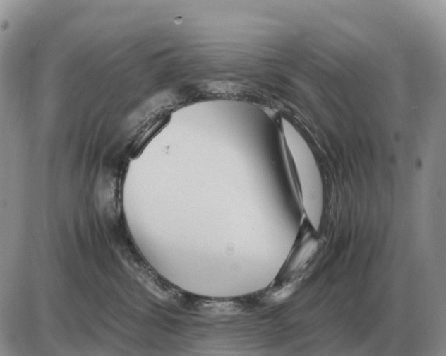 X0000086060428200704202105