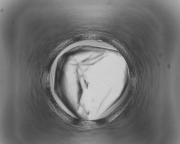 X0000086060429200704202105