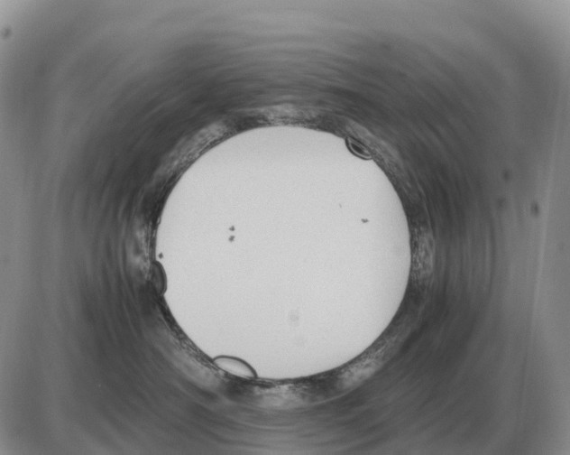 X0000086060430200704202105