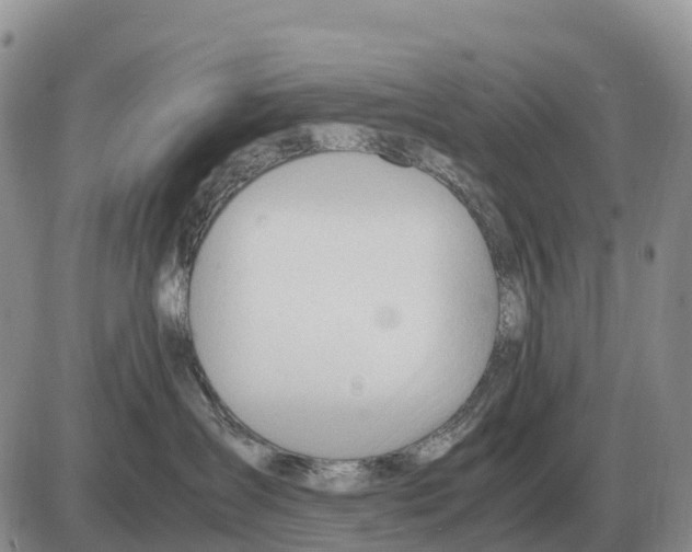 X0000086060431200704202105