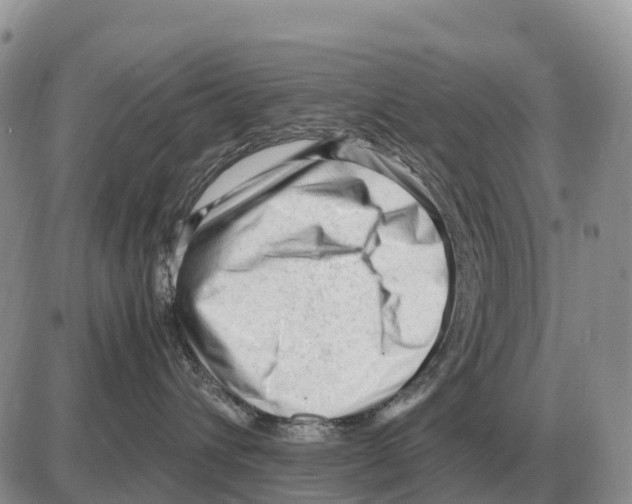 X0000086060432200704202105