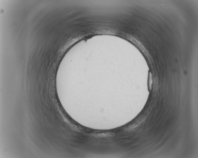 X0000086060433200704202105