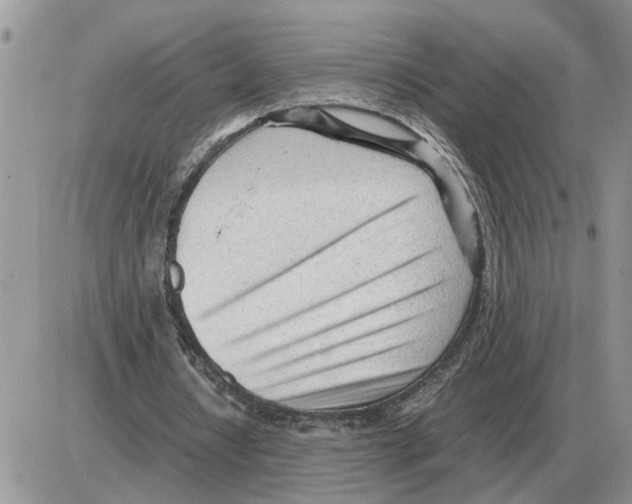 X0000086060434200704202105