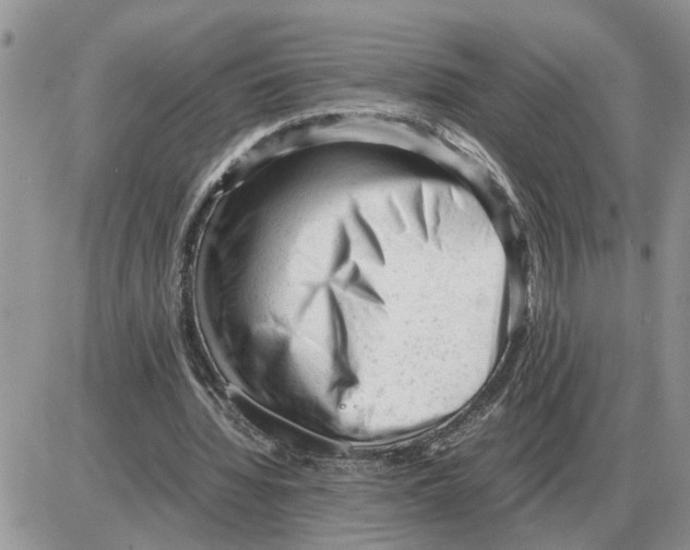 X0000086060436200704202105