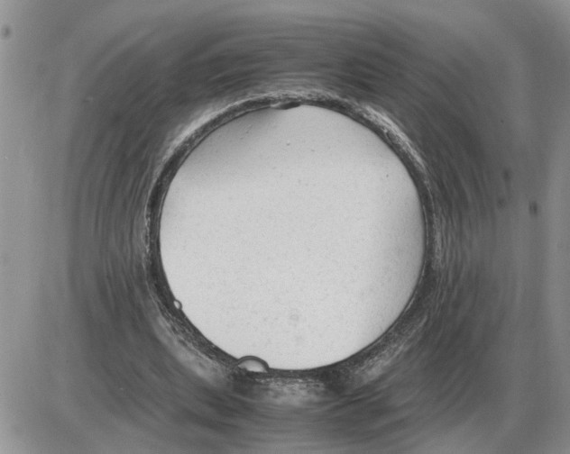 X0000086060439200704202105