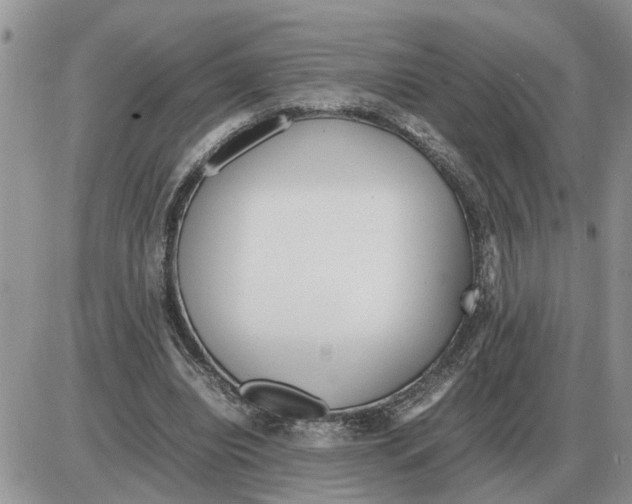 X0000086060440200704202105