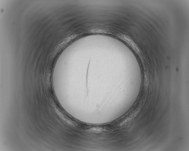 X0000086060441200704202105