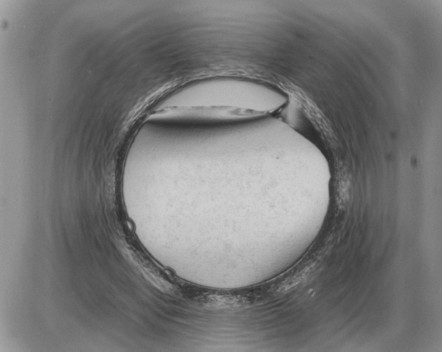 X0000086060442200704202105