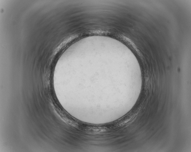 X0000086060443200704202105