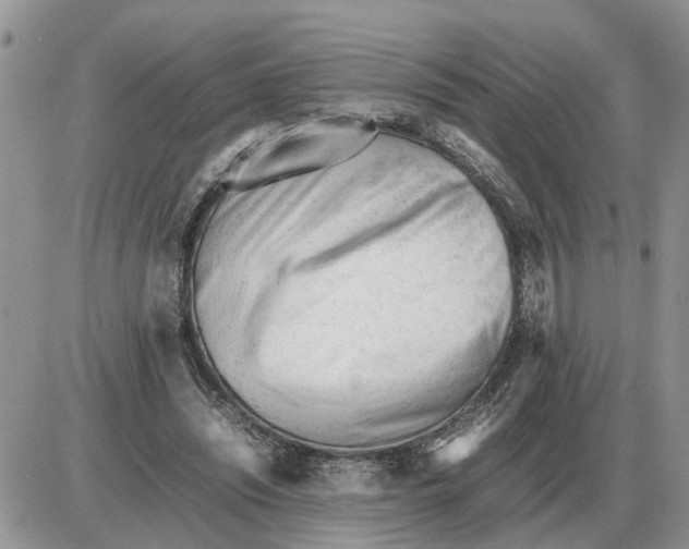 X0000086060444200704202105