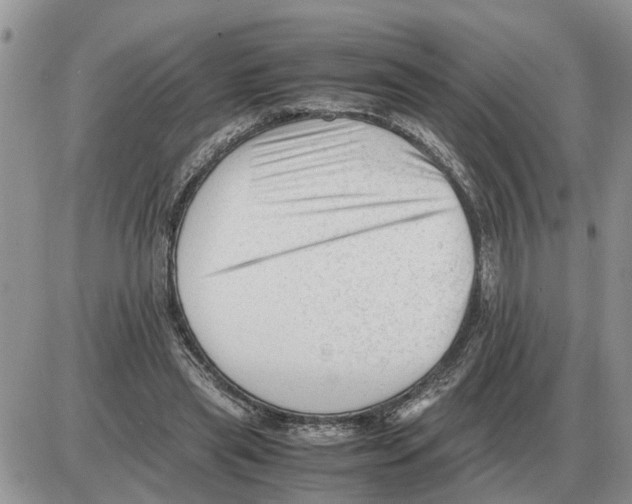 X0000086060445200704202105