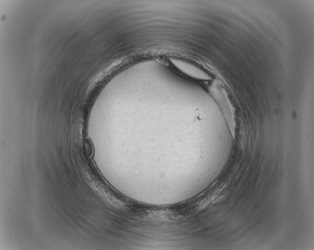 X0000086060446200704202105