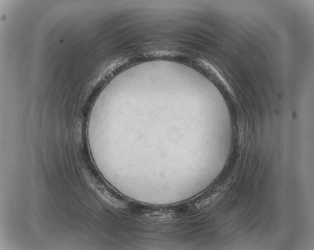 X0000086060447200704202105