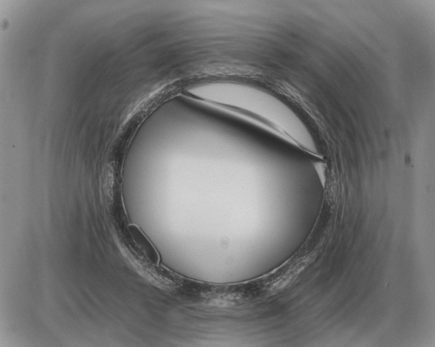 X0000086060448200704202105