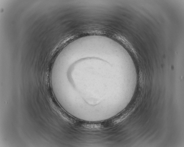 X0000086060449200704202105