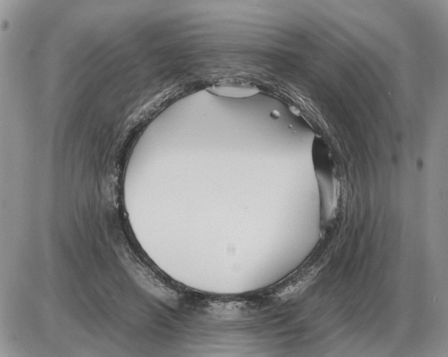 X0000086060450200704202105