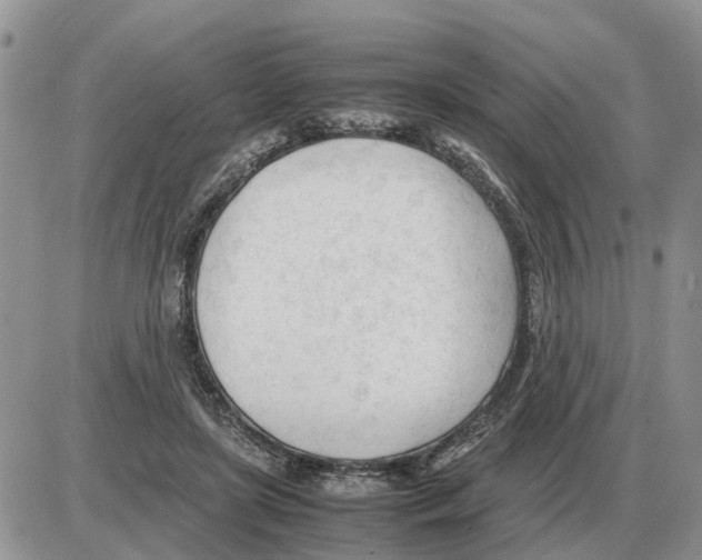 X0000086060451200704202105