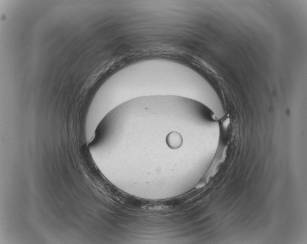 X0000086060452200704202105