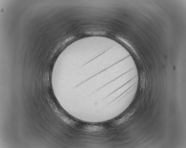 X0000086060453200704202105