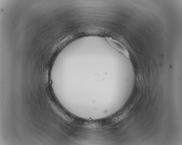 X0000086060454200704202105