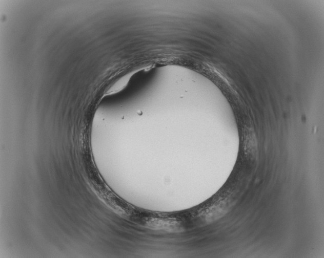 X0000086060455200704202105