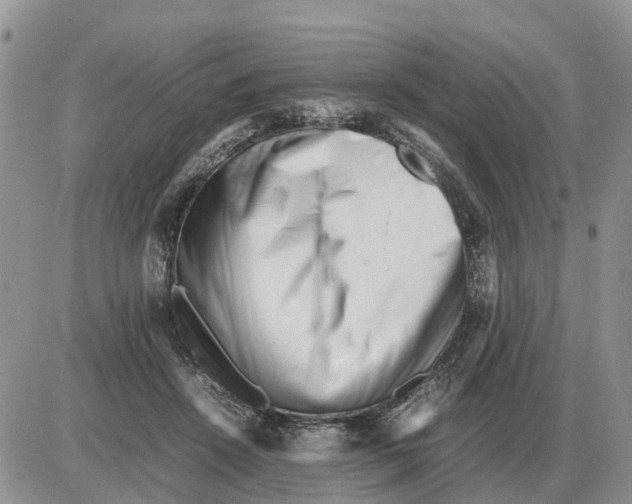 X0000086060456200704202105