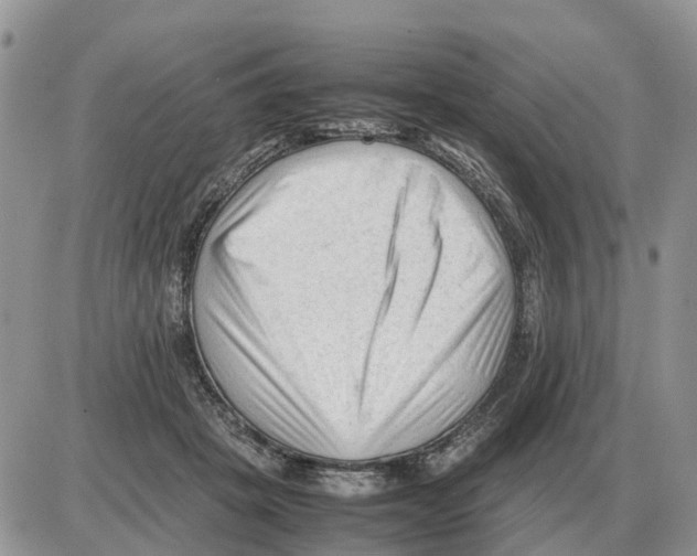 X0000086060457200704202105