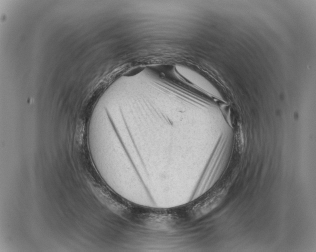 X0000086060458200704202105