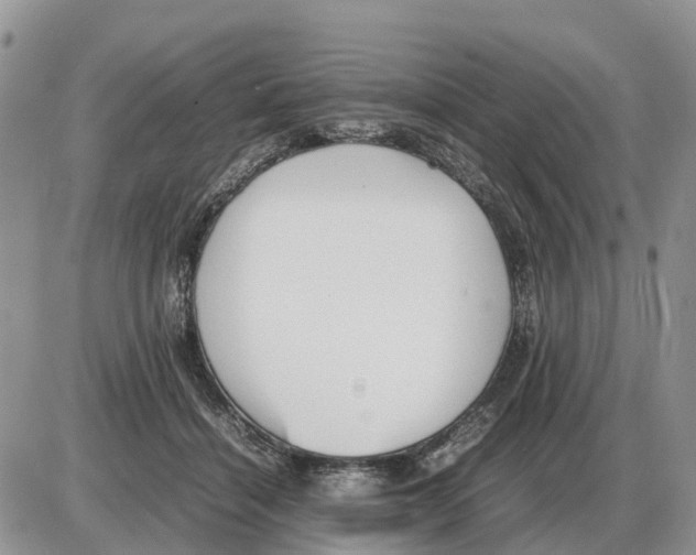 X0000086060460200704202105