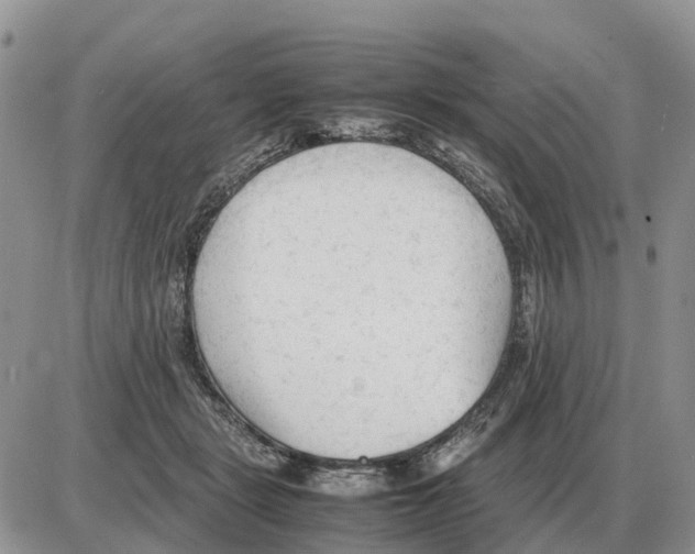 X0000086060461200704202105