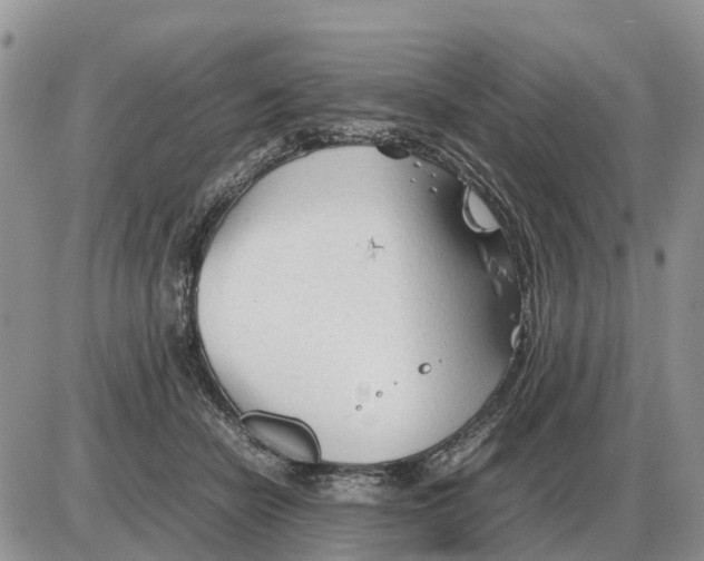 X0000086060462200704202105