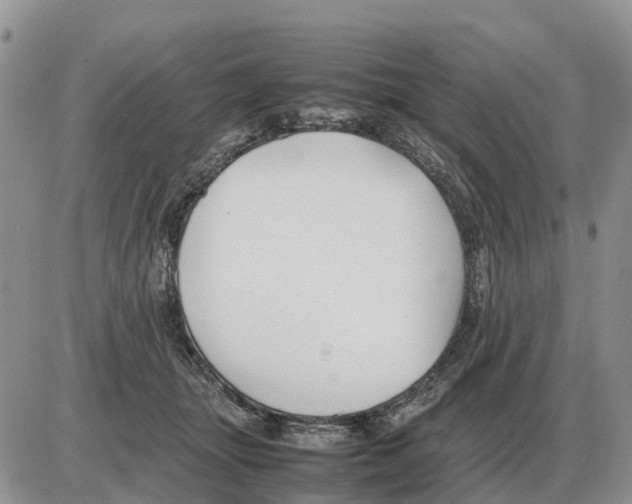 X0000086060463200704202105