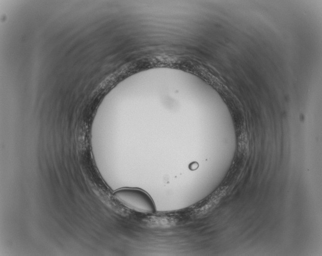 X0000086060464200704202105