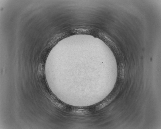 X0000086060467200704202105