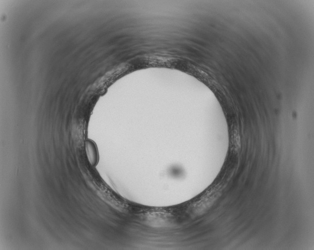 X0000086060468200704202105