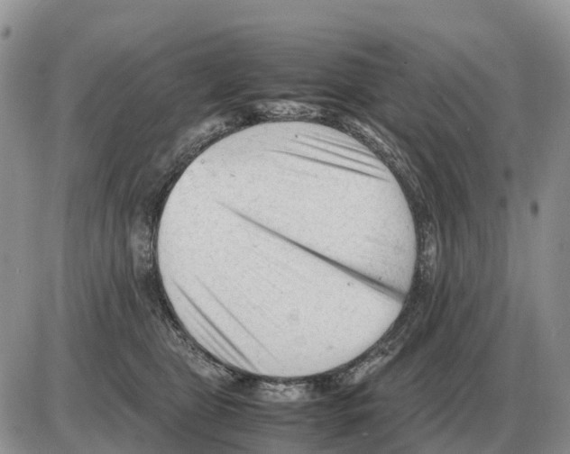 X0000086060469200704202105