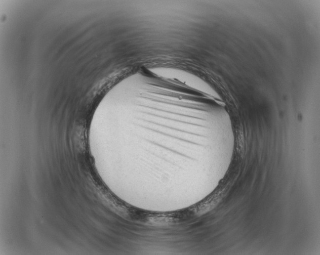 X0000086060470200704202105